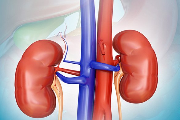 Kidney biopsy in delhi