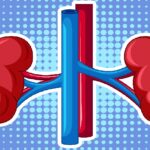 Kidney-problems-in-human