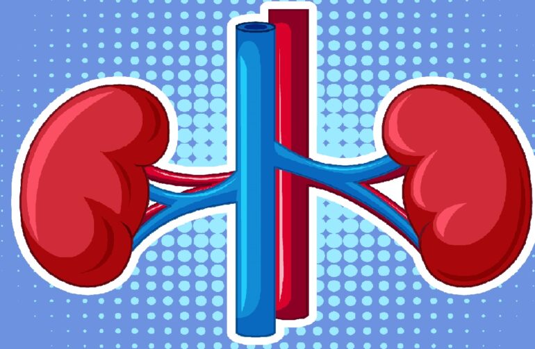 Different kidney problems, defects and diseases in patients MKC
