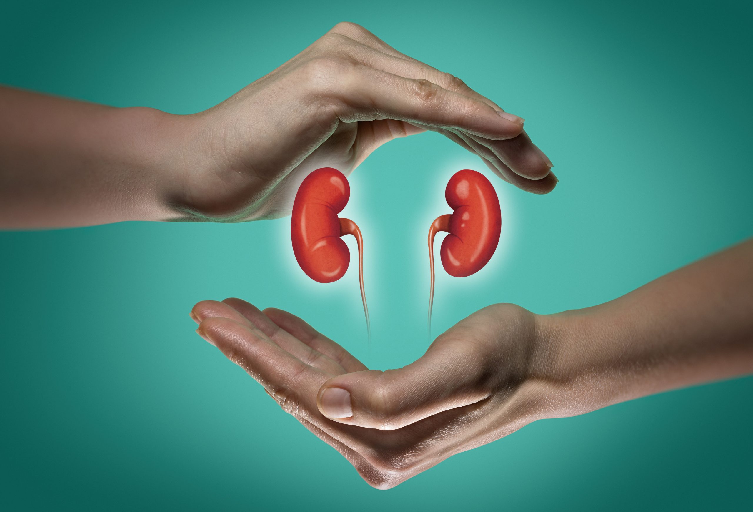 organ donation for Kidney-Transplant