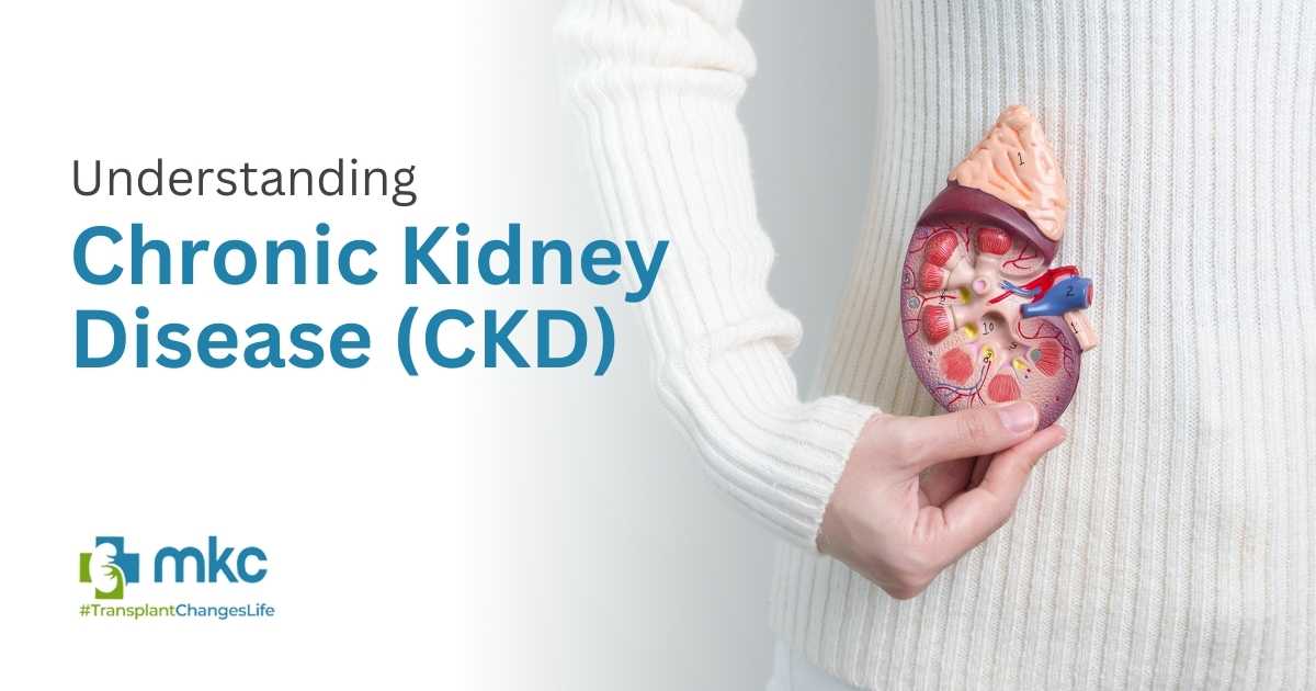 Understanding Chronic Kidney Disease (CKD)